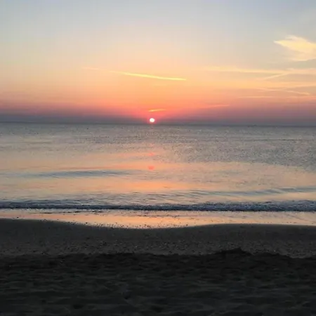 Pleasant In Near Sea