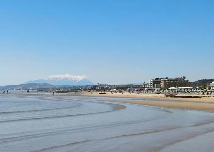 Pleasant In Near Sea