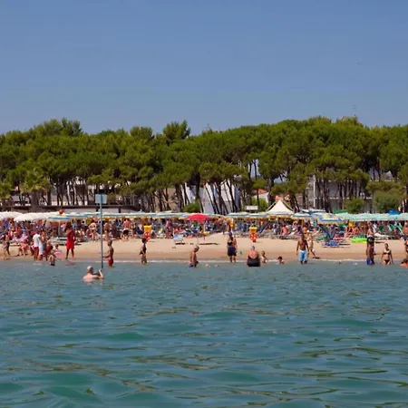 Pleasant In Near Sea