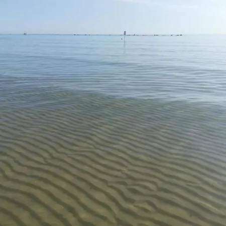 Pleasant In Near Sea *