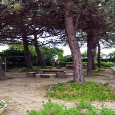 Pleasant In Near Sea *