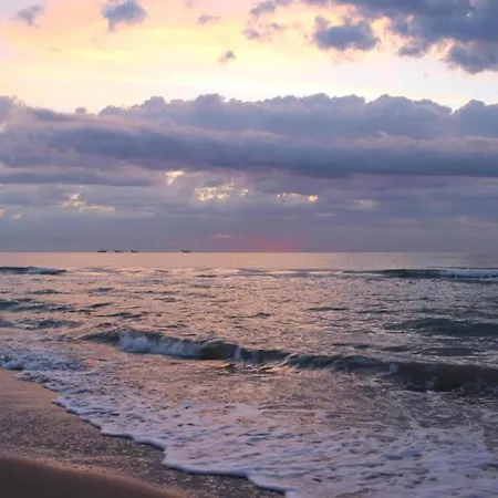 Pleasant In Near Sea