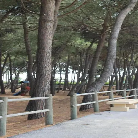 Pleasant In Near Sea アパート