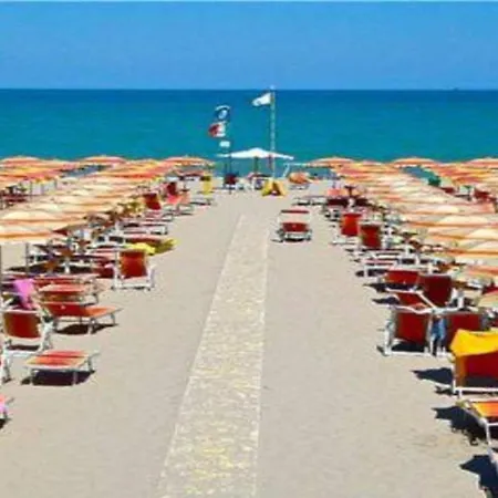 Pleasant In Near Sea *