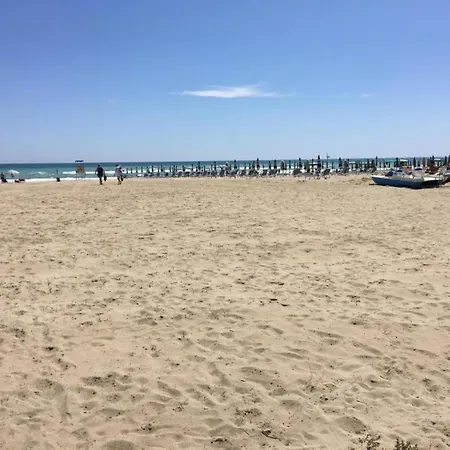 Pleasant In Near Sea *