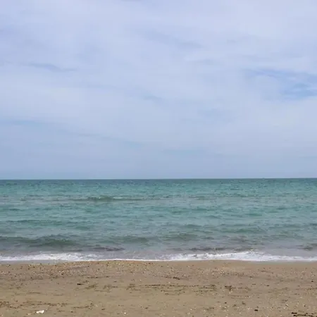 Pleasant In Near Sea *