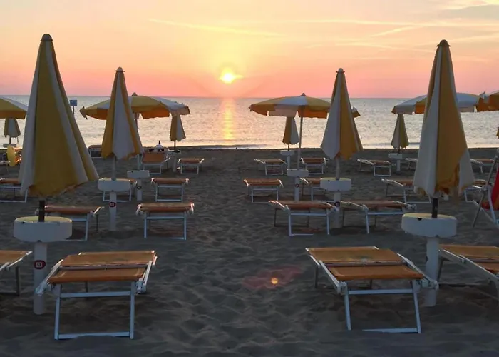 Pleasant In Near Sea