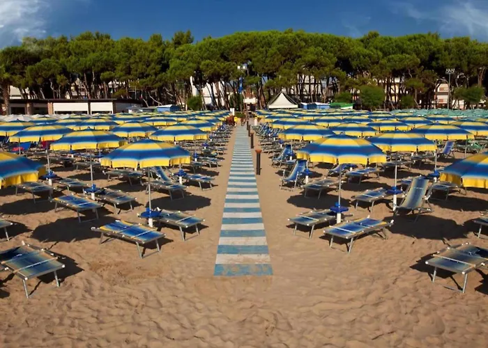 Pleasant In Near Sea