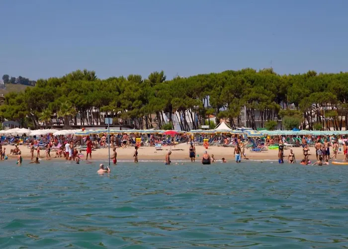 Pleasant In Near Sea