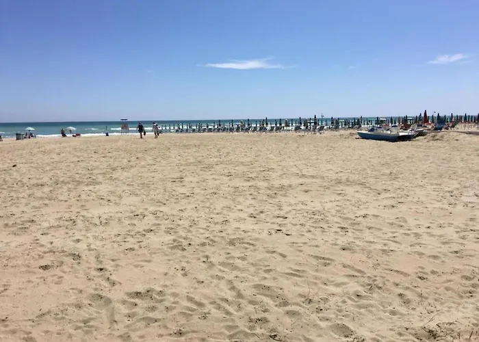 Pleasant In Near Sea *