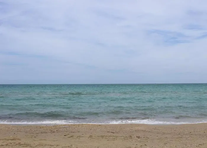 Pleasant In Near Sea *